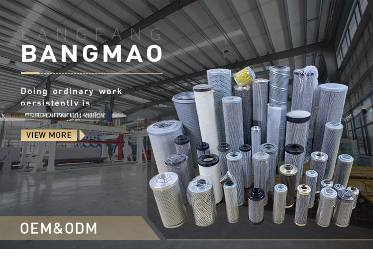 BangMao D141G25A 10 micron hydraulic filter replacement with Video outgoing-inspection