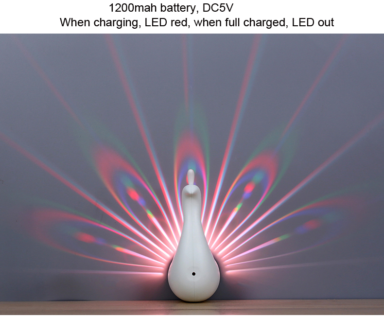 G projection light.jpg
