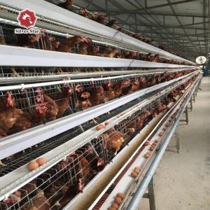 China 650x625x500mm Hens H Type Layer Chicken Cage Battery System ISO9001 wholesale