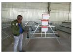 Long Life Q195 Steel Wire Layer Chicken Cage 3/4 Tier Layer Cage