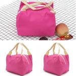 PVC free L20*D15cm Insulated Thermal Lunch Box