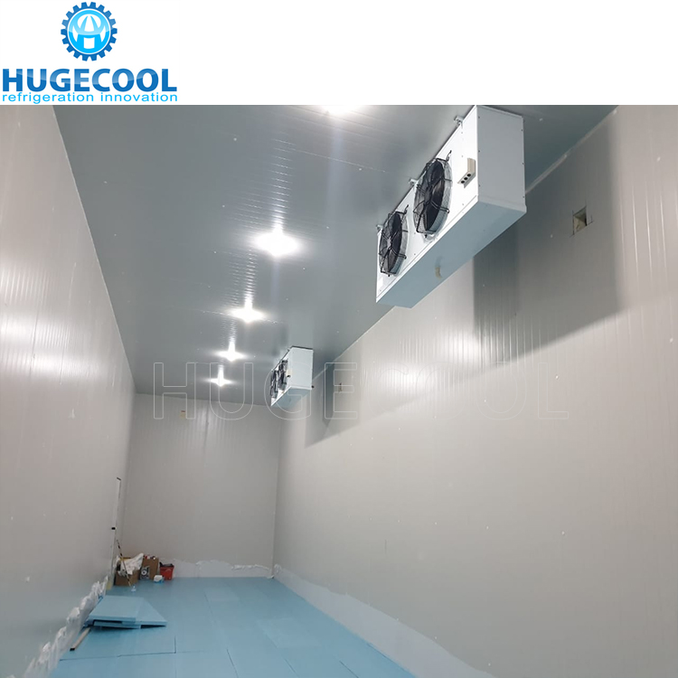 Cost-effective cold storage for storing fruits and vegetables