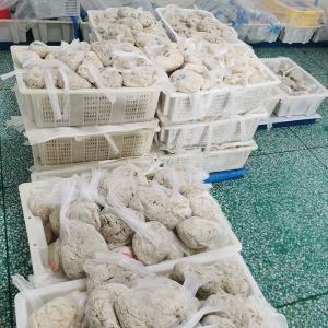 China Grade A Lamb Sausage Casing IOS 9001 Certified No Additive wholesale