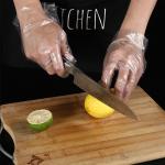 Food Grade Protection PE Waterproof Gloves