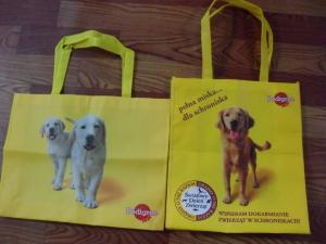 China promotional pp non woven bag for shopping wholesale