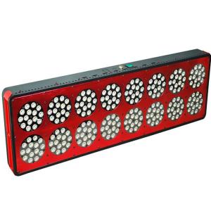 China CIDLY LED Grow Lights for Professional Indoor Growers 600W grow LED 240*3W Super Bright wholesale