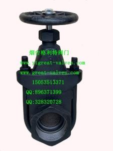 China clip gate valve wholesale