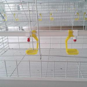 China Custom Commercial Meat Chicken Cages, Durable Chick Breeding Cage wholesale