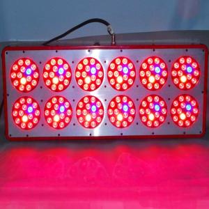 China gardening supplies aquaponics growing systems 600w hps grow lights/apollo12 full spectrum wholesale