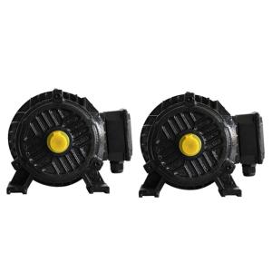 China Energy Saving Permanent Magnet Driven Motor 1500 - 3000rpm Electric Magnetic Motor wholesale