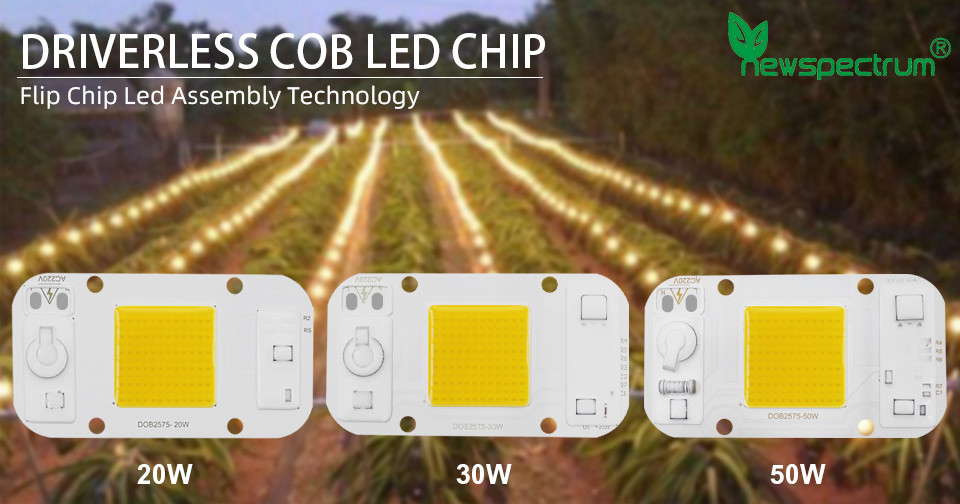 50HZ Led Light Module