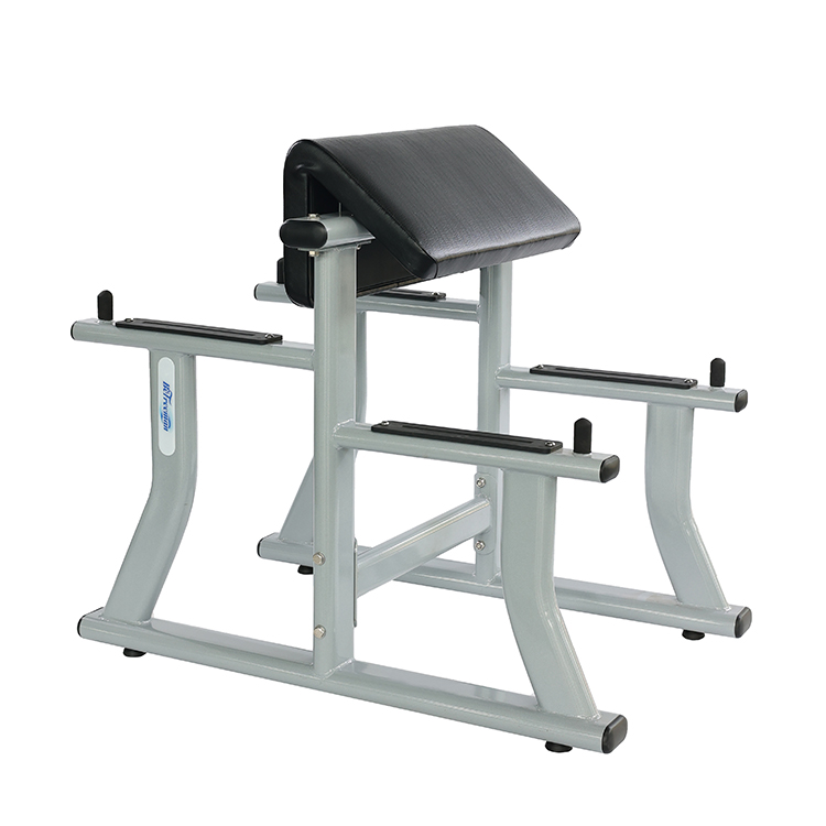 Wholesale Hot Sale High Quality Arm Curl Bench Gym Equipment Biceps Curl