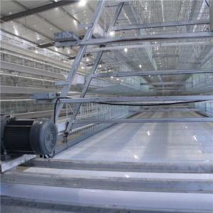 China High Durability Automated Poultry Equipment , Efficient Poultry House Equipment wholesale