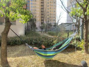 China Amazon FBA Outdoor Product Quality Inspection Services For Hammock wholesale