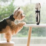 240V Pets Cats Dog Shaver Clippers Electric Quiet Hair Clippers Set
