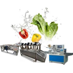 China Industrial Air Bubble Ozone Fruit Vegetable Washing Machine wholesale