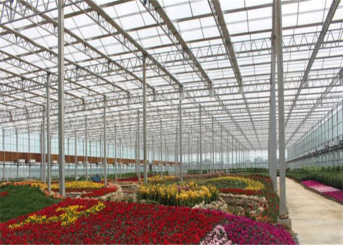 Vegetables / Fruits Agricultural Glass Greenhouse Strong Drainage Capacity
