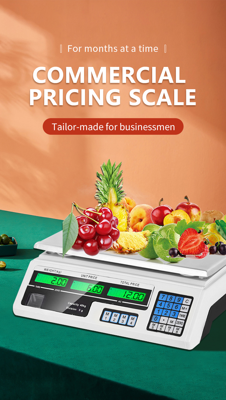 Durable Veidt ACS-A9 30kg/40kg Stainless Steel Electronic Digital Weighing Scale for Kitchen 1g Computing Weight Polygon