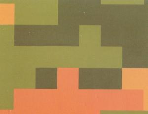 China Camouflage color prepainted Steel Coil wholesale