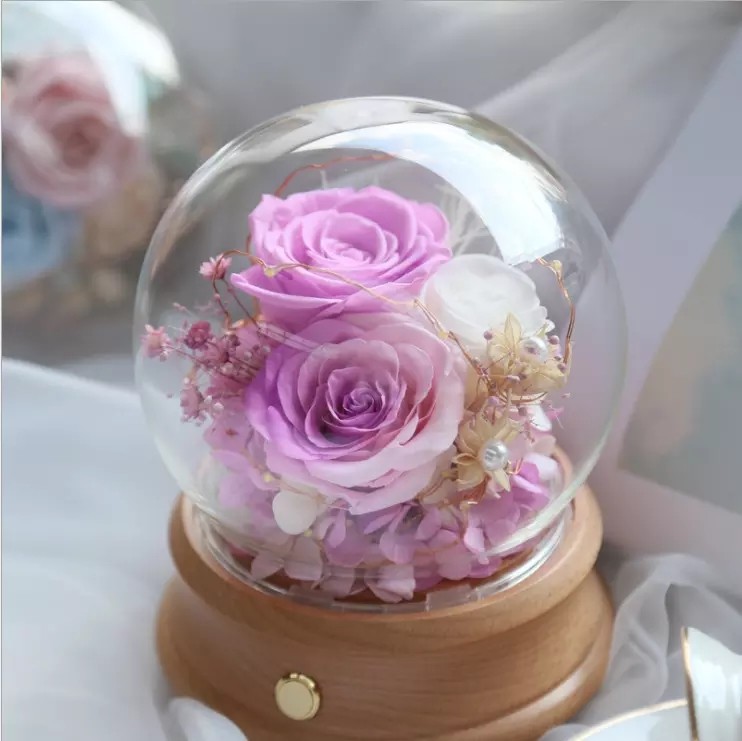 Wholesale Rose Preserved Flower in Glass Dome Flower for Valentines Day rose gift