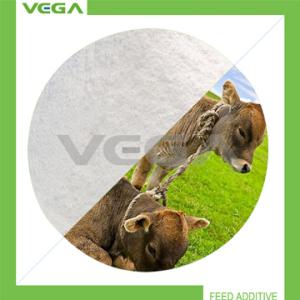 China Veterinary Medicine Enrofloxacin Premix wholesale