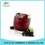 100% Natural Black Currant Fruit Powder