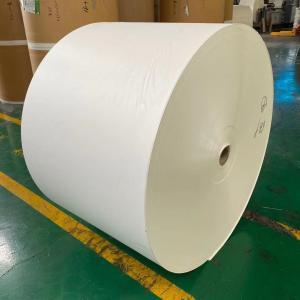 China High Bulk White PE Coated Paper Roll 310gsm Kraft For Bowl Burst Resistance wholesale