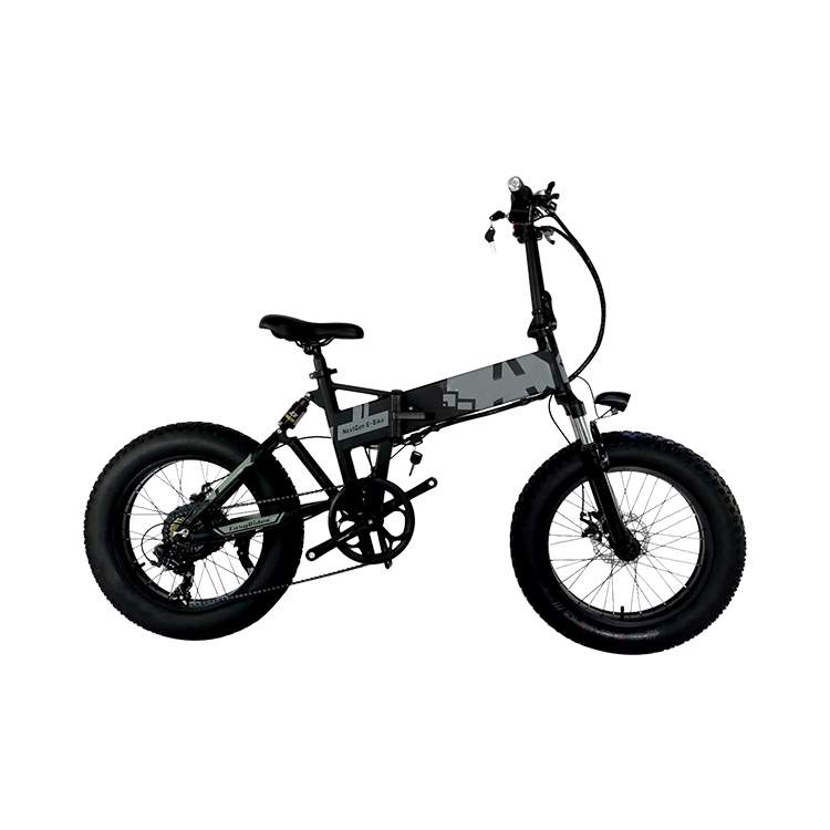 Double Suspension 20 Inch Electric Folding Fat Tire Bike