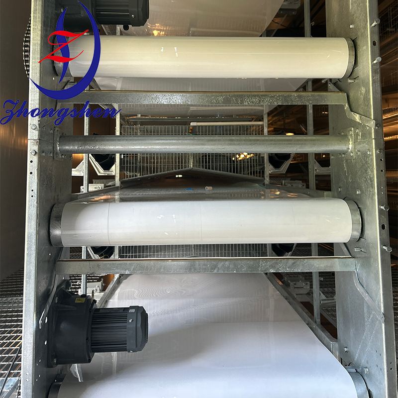 Customization Poultry PP/PE Manure Removal Belts from Zhongshen