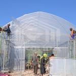 Round Arch Side Ventilation Plastic Tunnel Greenhouse Trade Single-span