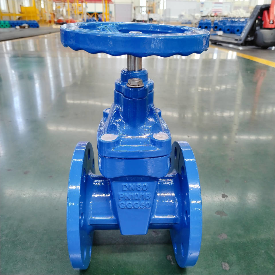 Ductile Iron Soft Seat Gate Valve 8 Inch F4 German Standard