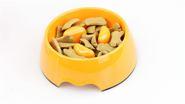 Plastic 190g Small Pet Feeder Bowl Pantone Cat Slow Feeder
