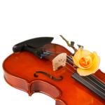 symphony orchestra instruments Wholesale price Professional Astonvilla AV-E310