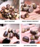 99.9% Accuracy Stainless Steel Chestnut Sorting Machine 900pcs/min