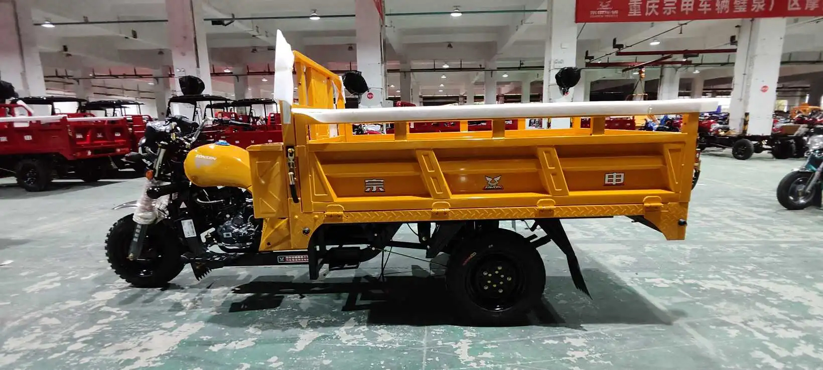 151 200cc Displacement 3 Wheel Gasoline Engine Motorized Petrol Cargo Tricycles for Adults