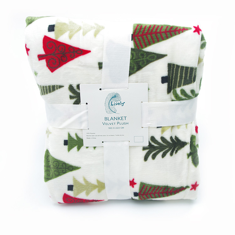 Customized Printed Flannel Receiving Blanket , Plush Throw Blanket For Baby / Adults