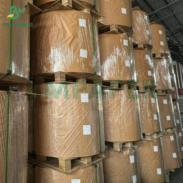 Roll 884mm 1017mm 40gsm Woodfree Paper For Leaflet and Booklet Printing
