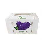 Turnover Corrugated Plastic Packaging Boxes Eggplant Correx Box