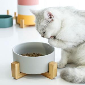 China Unique Colorful 15.5*7cm Cat Ceramic Bowl Pet Food Feeder wholesale