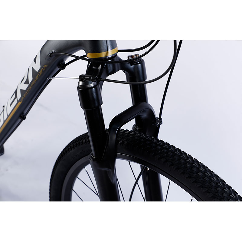 Custom Carbon Fiber Frame Mountain Bike Bicycle with Ltwoo A12 12s Gear 26/27.5/29 inch