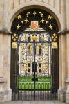 Swing Wrought Iron Electric Gates Powder Coated With ISO14001 Certified