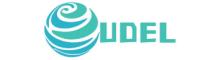 China UDEL Chips Tech Co., Ltd. logo