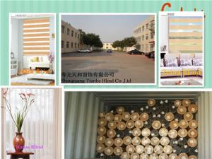 China fashion day night zebra roller blind wholesale
