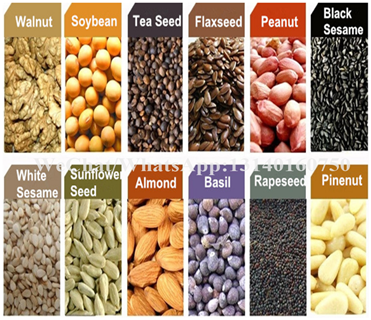 80-125kg/H Nuts Processing Machine Shea Automatic Oil Extraction Machine
