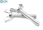Rounded 304 316 Stainless Steel Wing Screws DIN 316