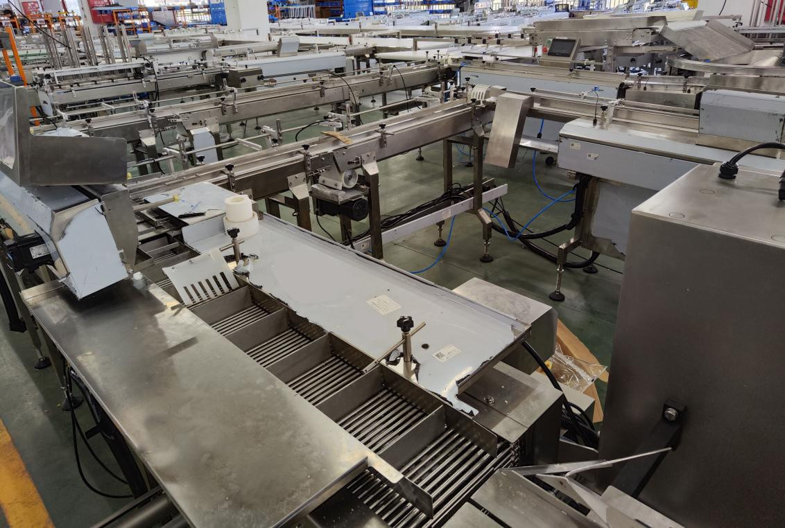 Frozen Food Dumpling Packing Machine Automatic Multi Function Packaging Machine