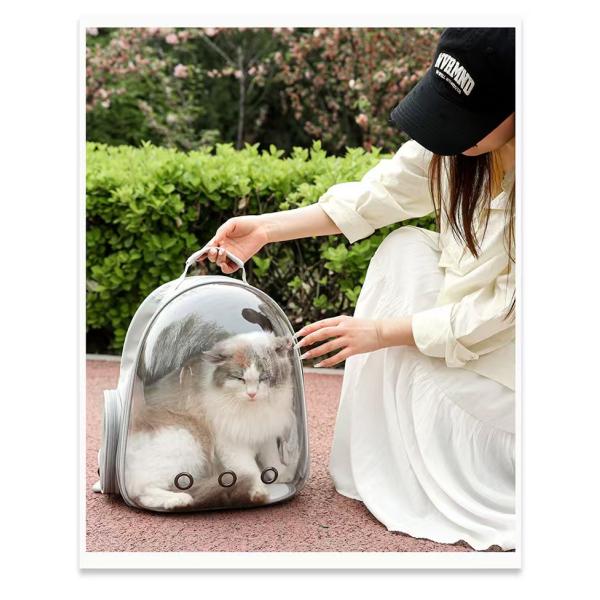 Main Material Oxford Dual-Shoulder Cat Space Capsule Pet Travel Backpack with Panoramic View Lining Material Polyester