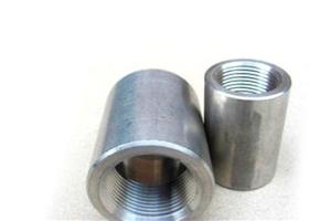 China SS quick connect Stainless Steel Threaded Coupling wholesale