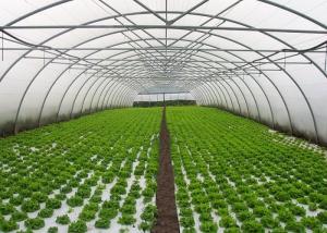 China Small Area Single Tunnel Greenhouse Easy Install For Nursery / Flower Farming wholesale