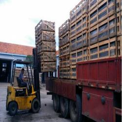 Star-Worths Refrigeration Co.,Ltd
